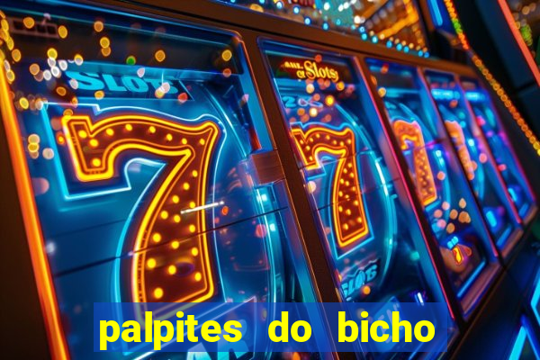 palpites do bicho no celular