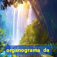 organograma da cacau show