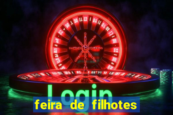 feira de filhotes porto alegre