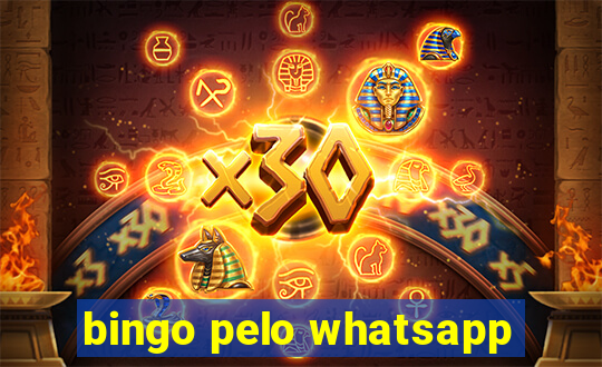 bingo pelo whatsapp