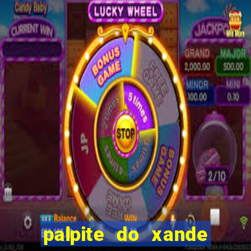 palpite do xande para hoje