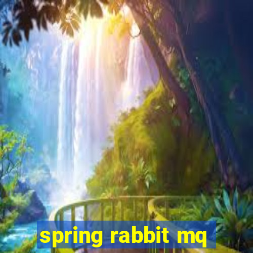 spring rabbit mq