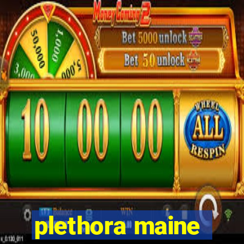 plethora maine