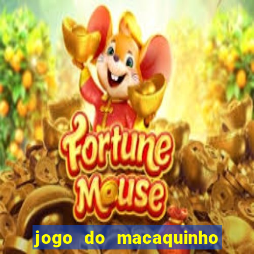 jogo do macaquinho que ganha dinheiro