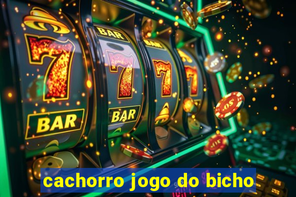 cachorro jogo do bicho