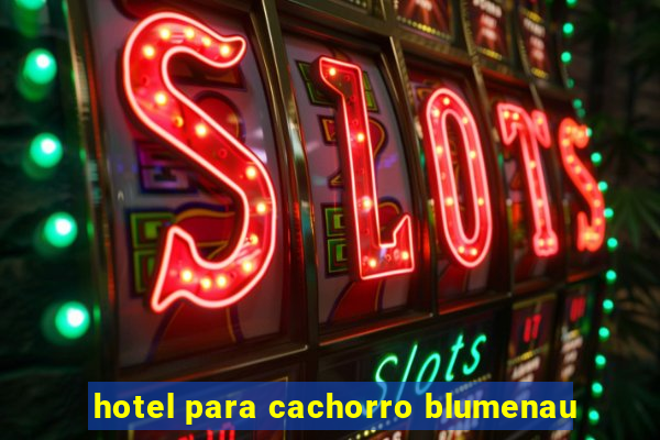 hotel para cachorro blumenau