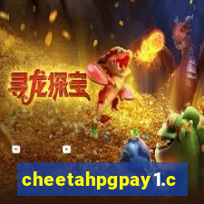 cheetahpgpay1.com