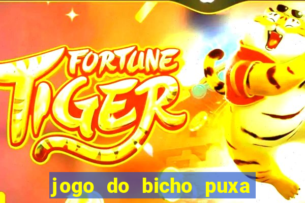 jogo do bicho puxa de dona maria