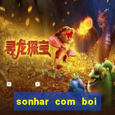 sonhar com boi jogo do bicho