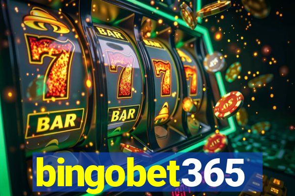 bingobet365