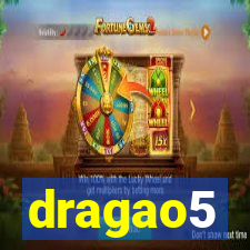 dragao5