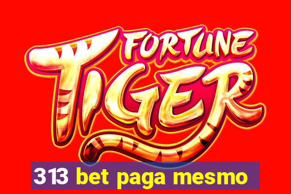 313 bet paga mesmo