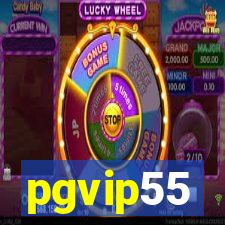 pgvip55