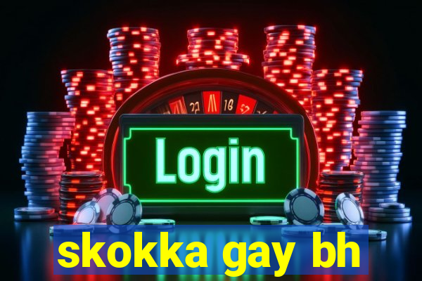 skokka gay bh