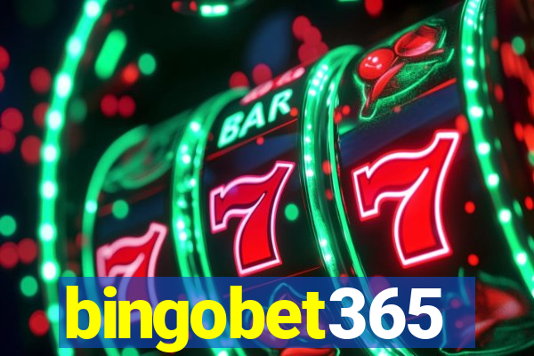 bingobet365