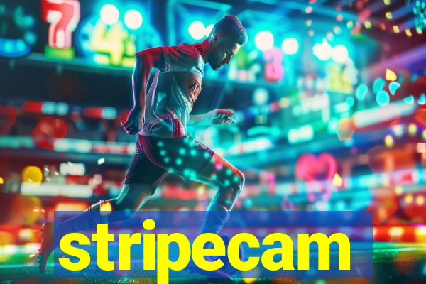 stripecam