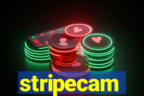 stripecam